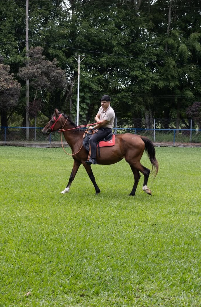 Galeria do Hotel Fazenda Pé da Serra em Pindamonhangaba — foto 9 de 115