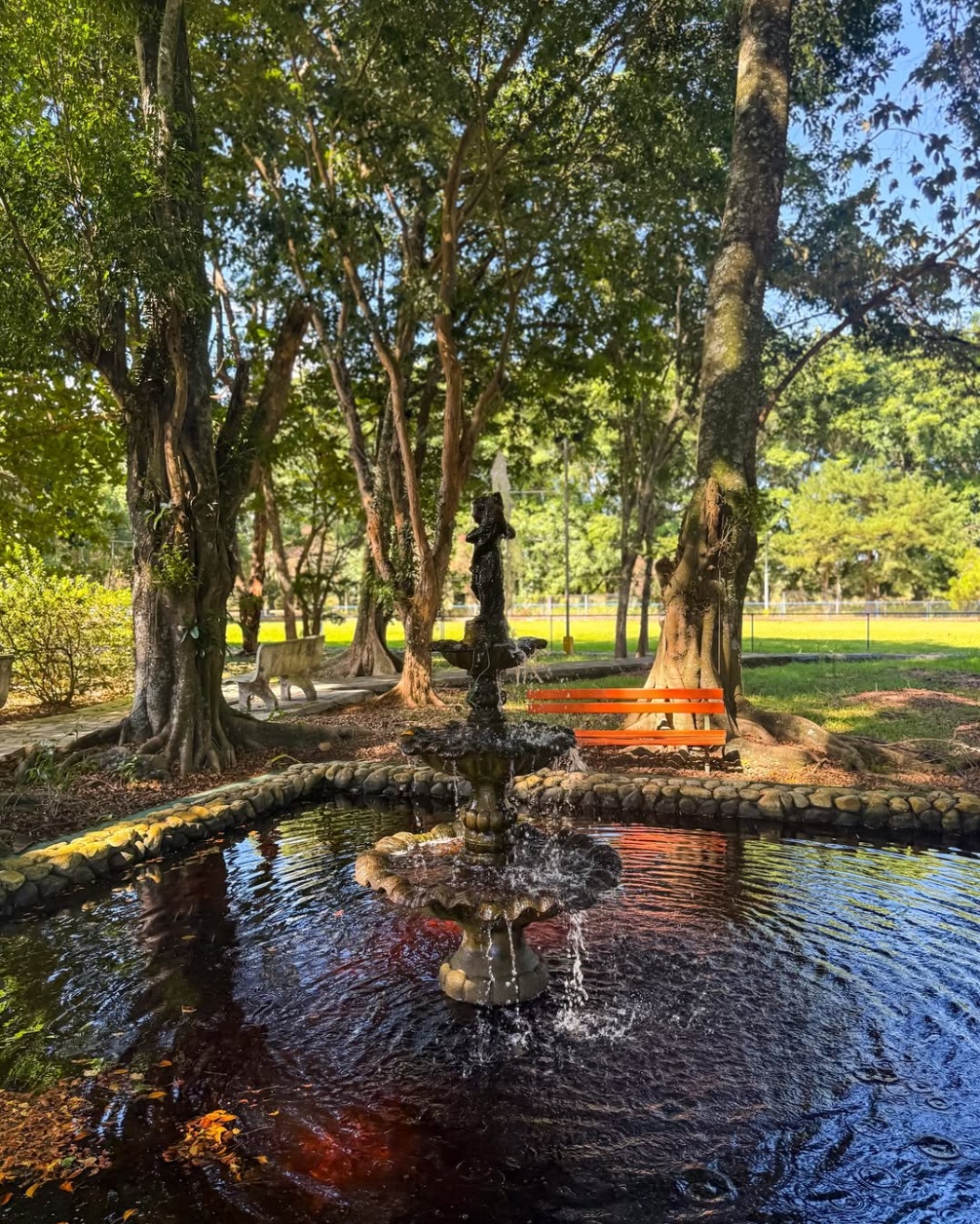 Galeria do Hotel Fazenda Pé da Serra em Pindamonhangaba — foto 14 de 115