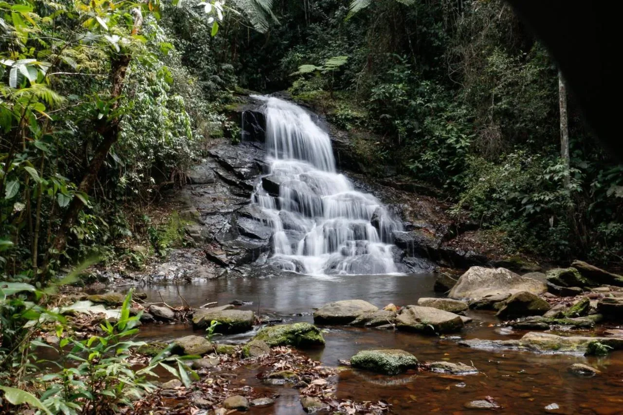 Galeria do Hotel Fazenda Pé da Serra em Pindamonhangaba — foto 3 de 115