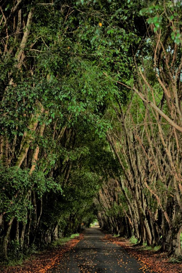 Galeria do Hotel Fazenda Pé da Serra em Pindamonhangaba — foto 8 de 115